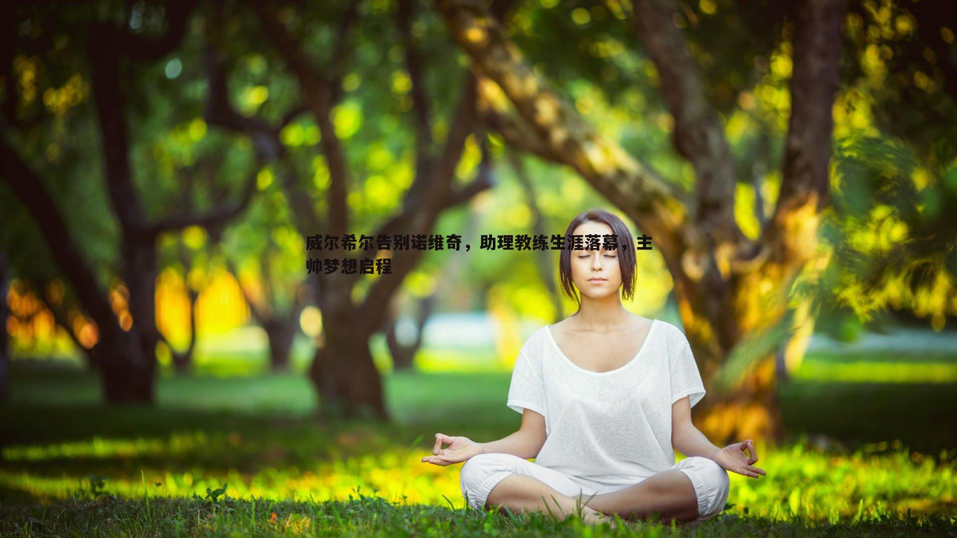 威尔希尔告别诺维奇，助理教练生涯落幕，主帅梦想启程