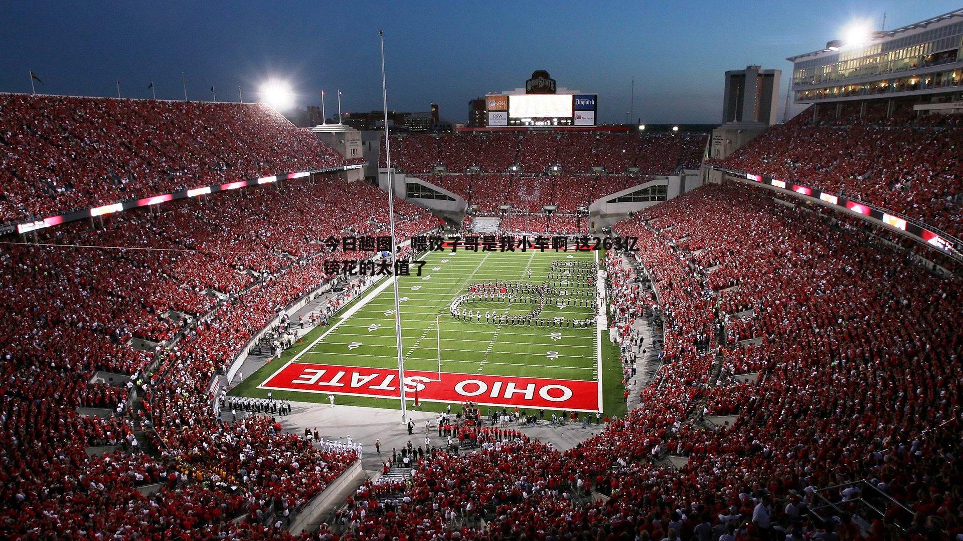 今日趣图,喂饺子哥是我小车啊 这263亿镑花的太值了