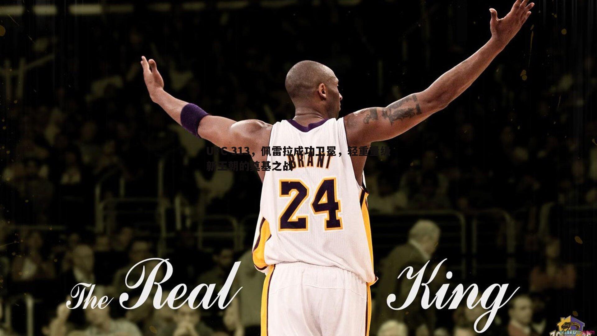 UFC 313,佩雷拉成功卫冕,轻重量级新王朝的奠基之战